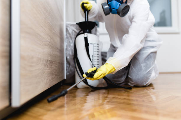 Best Affordable Pest Control Services  in Burbank, CA