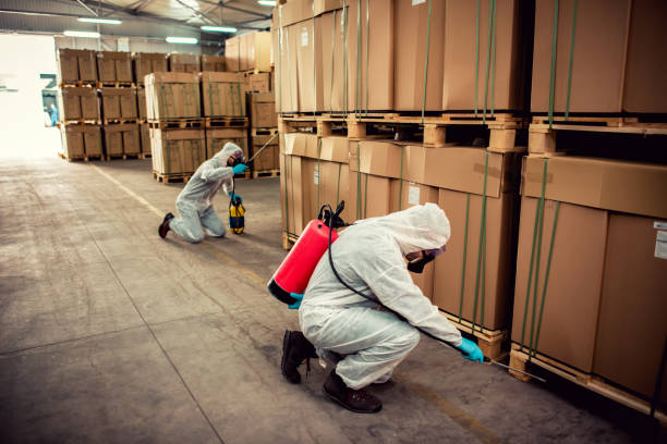 Best Best Pest Control Companies  in Burbank, CA