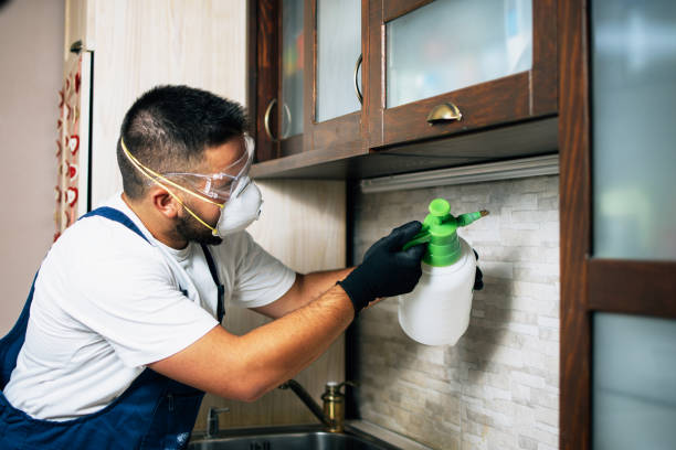 Best Best Pest Control Companies  in Burbank, CA