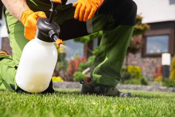 Best Wildlife Control Services  in Burbank, CA