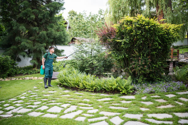  Burbank, CA Pest Control Pros