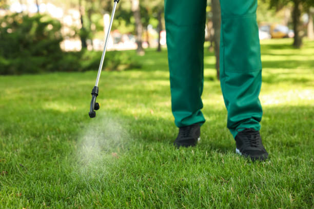 Best Residential Pest Control  in Burbank, CA