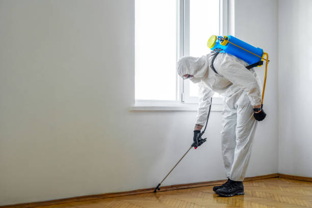 Best Mosquito Control Services  in Burbank, CA