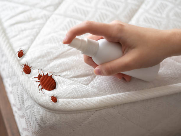 Best Pest Removal Services  in Burbank, CA