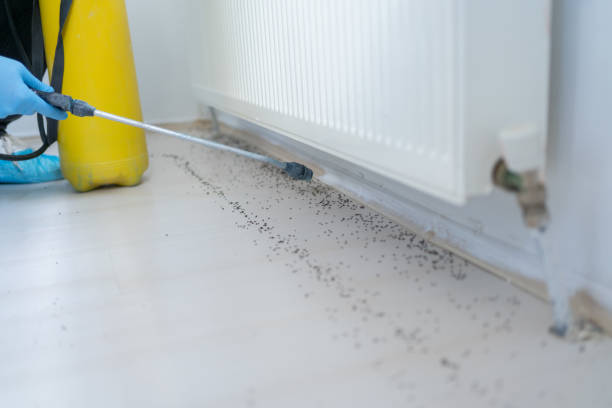 Best Mosquito Control Services  in Burbank, CA