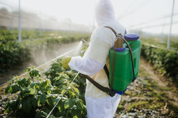 Best Pest Control Near Me in Burbank, CA